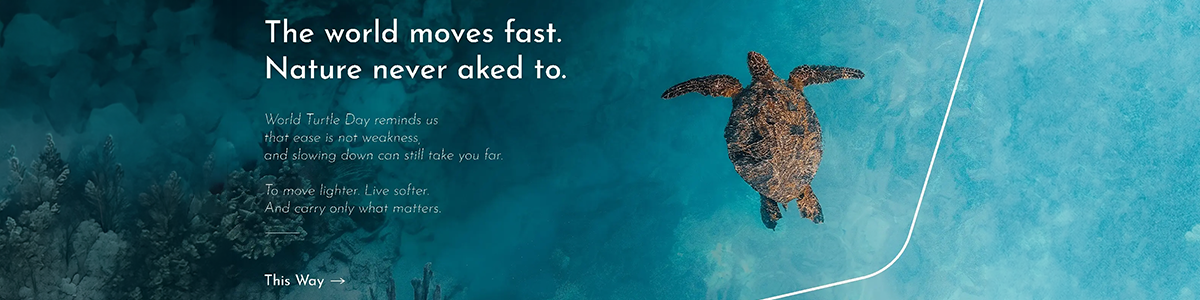 turtle banner 1